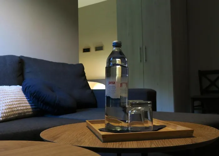 Old River Konukevi Buzet